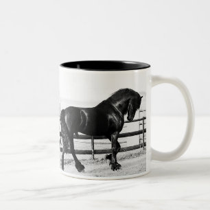 Taza Bicolor Una humildad de los caballos