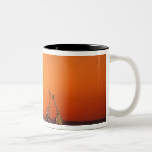 Taza Bicolor Una pareja de jirafas camina hacia la puesta del s