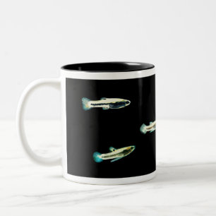 Taza Bicolor Una pequeña escuela de Heterandria formosa
