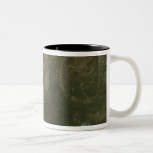 Taza Bicolor Una vista nube-libre de los Estados Unidos