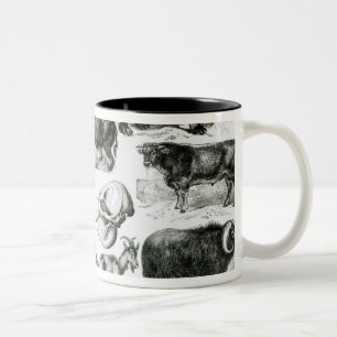 Taza Bicolor Ungulata o animales ungulados