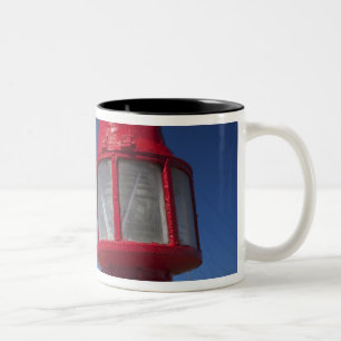 Taza Bicolor Uruguay, departamento de Rocha, La Paloma. Cabo Sa