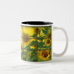 Taza Bicolor Usted es la sol de mi vida