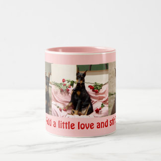 Taza Bicolor V-día 2009 012, Charlie.Roses.face.jpeg, Zelda…