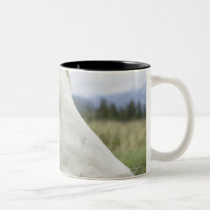 Taza Bicolor ¿Vaca de Brown con una muestra en ella? oído de s