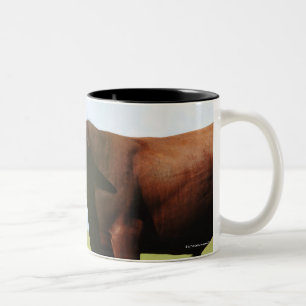Taza Bicolor Vaca de ganado en campo