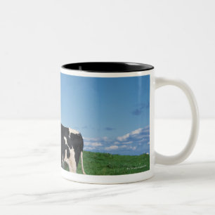 Taza Bicolor Vaca de Holstein que se coloca en el campo,