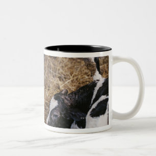 Taza Bicolor Vaca y becerro en heno