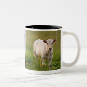 Taza Bicolor Vacas en el campo