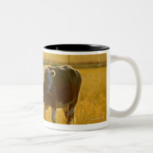 Taza Bicolor Vacas en el pasto