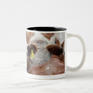Taza Bicolor Vacas en un corral