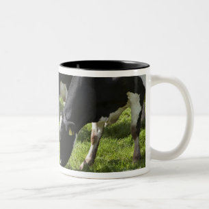 Taza Bicolor Vacas lecheras que pastan en pasto