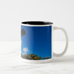 Taza Bicolor Vacas que alimentan en el pasto 2