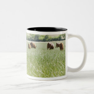 Taza Bicolor Vacas que se colocan en prado