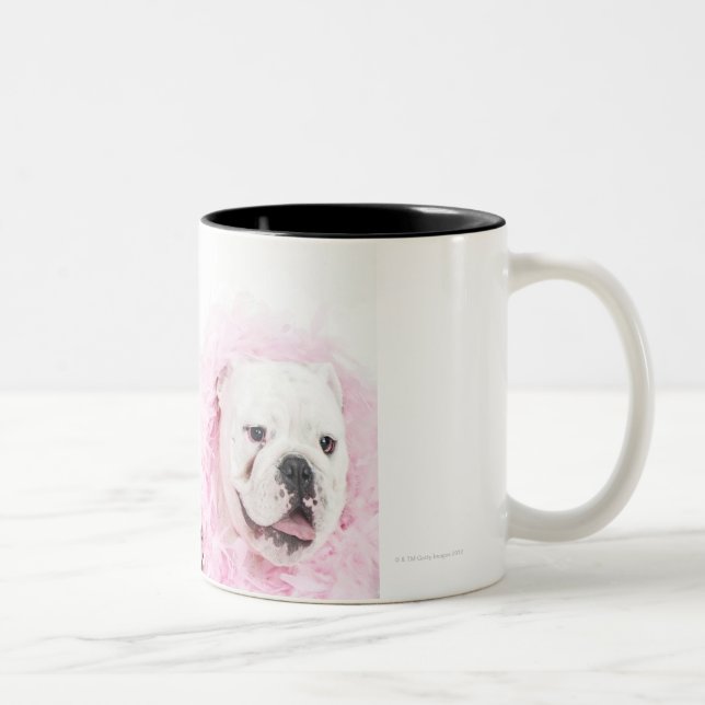 Taza Bicolor Varón y hembra blancos (Derecha)