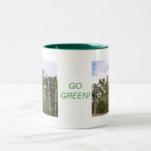 TAZA BICOLOR VE A VERDE