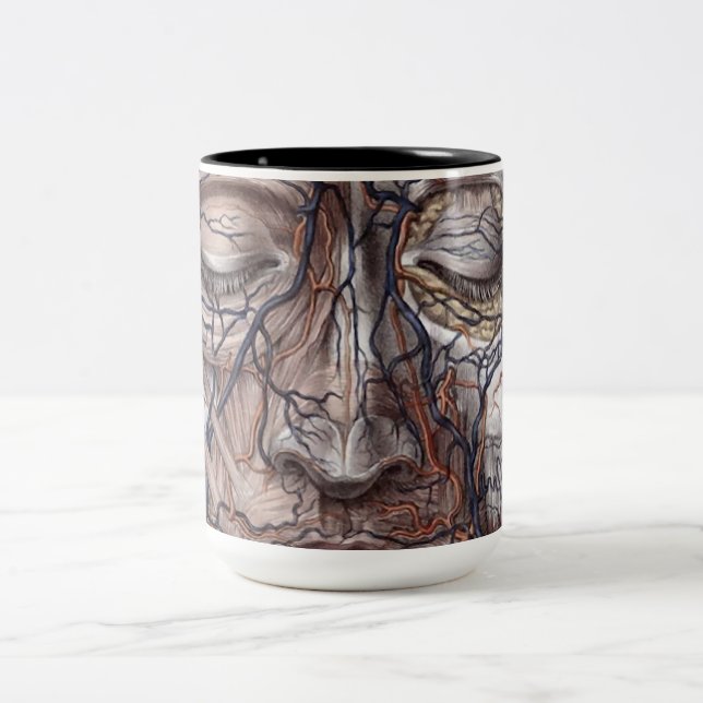 Taza Bicolor Venas y músculos principales (Centro)