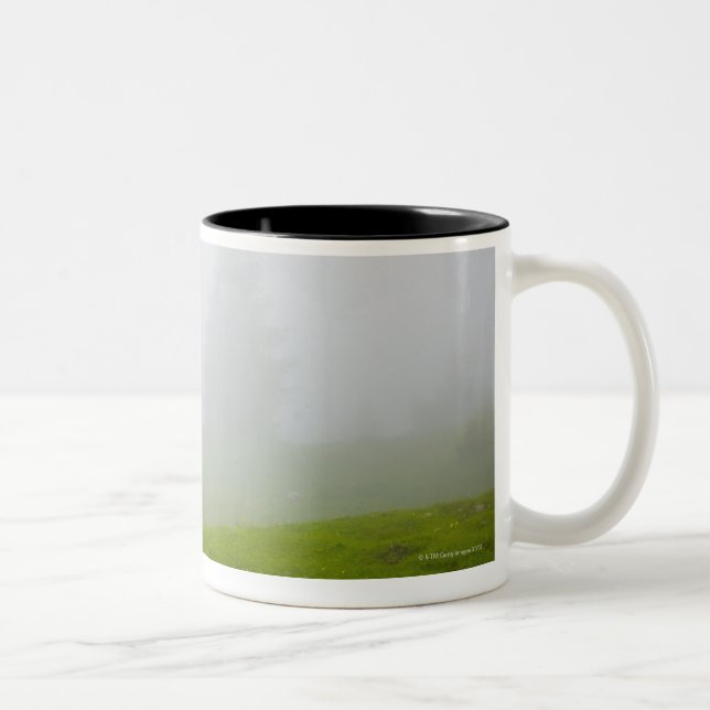 Taza Bicolor Véneto Italia (Derecha)