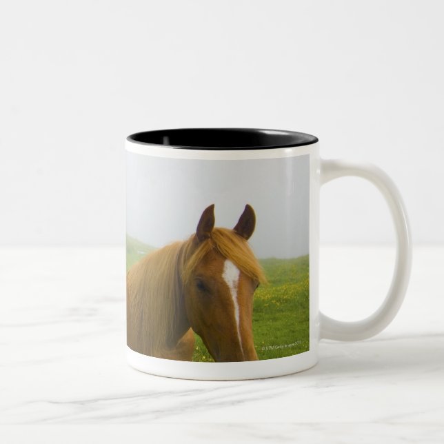 Taza Bicolor Véneto Italia 2 (Derecha)