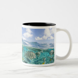 Taza Bicolor viaje de safari por la laguna con raya látigo