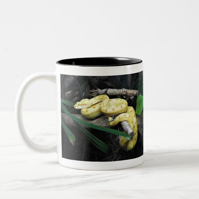 Taza Bicolor Víbora de la pestaña (Izquierda)