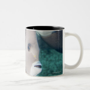 Taza Bicolor Vida subacuática, PESCADO:  un par de Angelfish