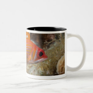 Taza Bicolor Vida subacuática, PESCADO:  un Squirrelfish de