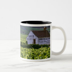 Taza Bicolor viñedo Chambertin Clos de Beze Grand Cru con