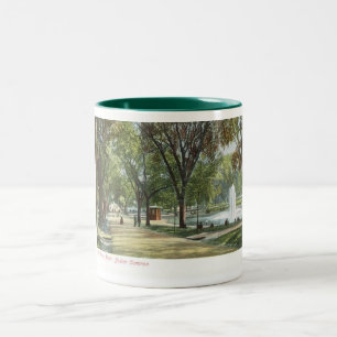 Taza Bicolor Vintage común c1910 de la charca de la rana,