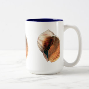 Taza Bicolor Vintage de la cubierta marina