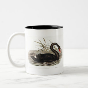 Taza Bicolor Vintage del cisne negro
