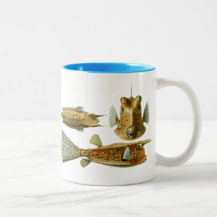 Taza Bicolor Vintage Haeckel Fish
