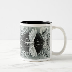 Taza Bicolor Vintage Haeckel Moth