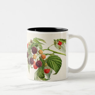 Taza Bicolor Vintage Purple Raspberry