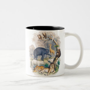 Taza Bicolor Vintage Wildlife in Nature Art
