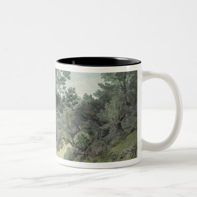 Taza Bicolor Visión cerca de Cantonteign, Devon (Derecha)