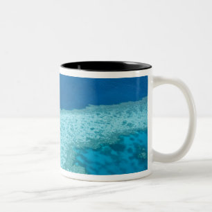 Taza Bicolor Vista aérea de La Gran Barrera de Coral por parte