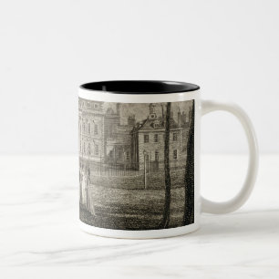 Taza Bicolor Vista de la casa de Buckingham, grabada por W.