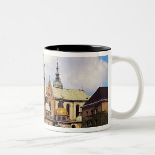 Taza Bicolor Vista de la catedral de Wawel