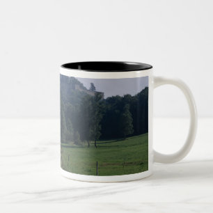 Taza Bicolor Vista de la fortaleza
