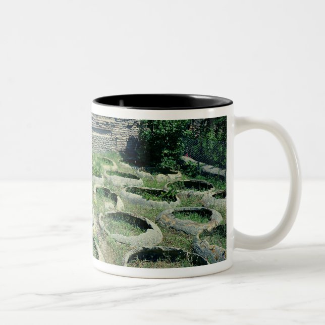 Taza Bicolor Vista de las tiendas (Derecha)