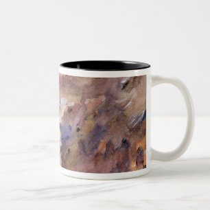 Taza Bicolor Vista de Walchen Lake, 1919