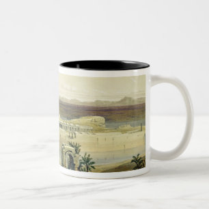 Taza Bicolor Vista general de la isla de Philae, Nubia, de