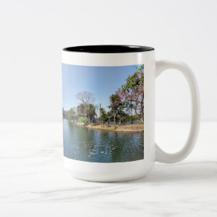 Taza Bicolor vista lateral del lago