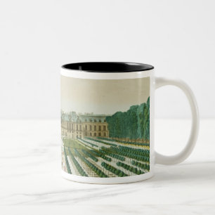 Taza Bicolor Vista y perspectiva del Palais Royal del