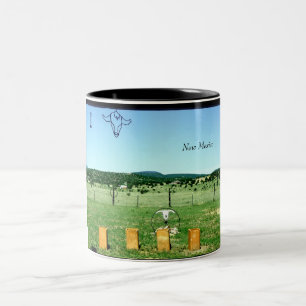 Taza Bicolor Vistas de New México