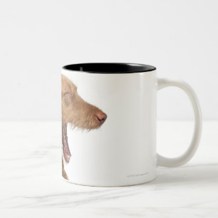 Taza Bicolor Vizsla que bosteza delante de la tierra de la
