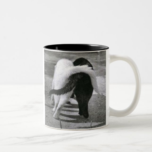 Taza Bicolor w7ij4i [1] (Derecha)
