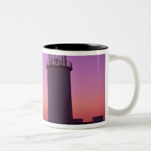 Taza Bicolor WA, Cape Dispointstate Park, North Head 2