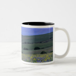 Taza Bicolor WA, Condado de Klickitat, Dalles Mountain Ranch,